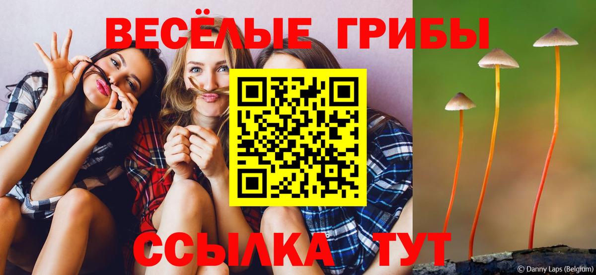 Галлюциногенные грибы мухоморы  Вход с VPN  Ачхой-Мартан 